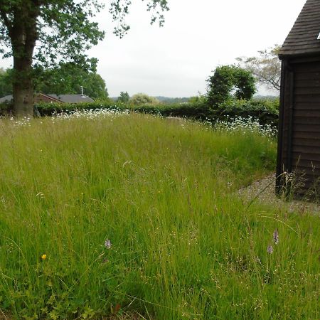 Bond'S Cottage Barn Royal Tunbridge Wells Exterior foto